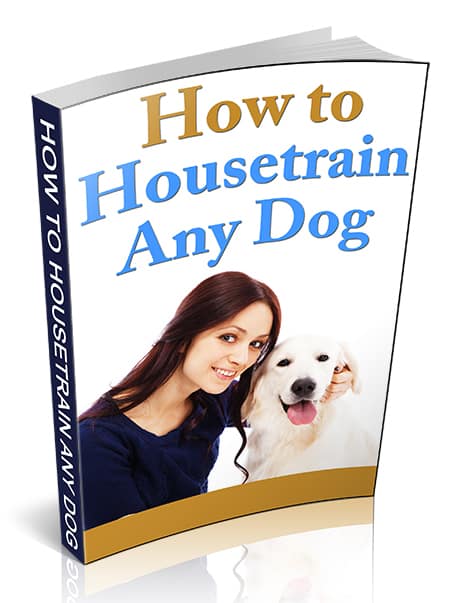 How To Housetrain Any Dog