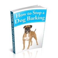 How To Stop A Dog Barking
