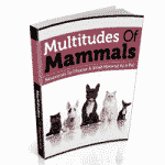 Multitudes Of Mammals