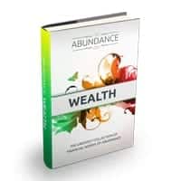 Abundance Wealth 1