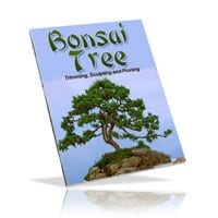 Bonsai Trees: Growing‚ Trimming‚ Pruning‚ and Sculpting