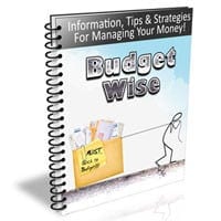 Budget Wise Newsletter 2