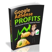 Google Adsense Profits II 2