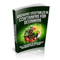 Growing Vegetables In Containers For Beginners 1