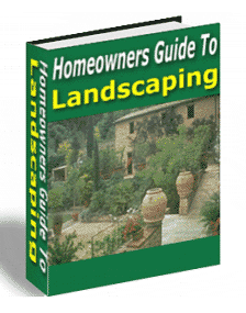 Homeowners Guide To Landscaping