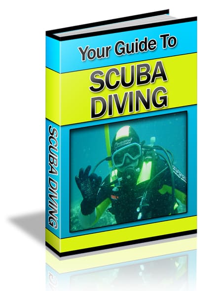 Your Guide To Scuba Diving