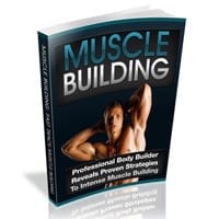 Muscle Building 2