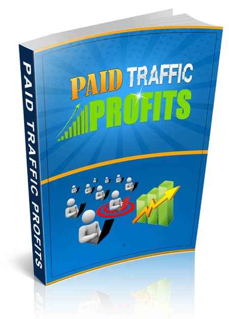 Paid Traffic Profits