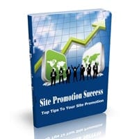 Site Promotion Success 2