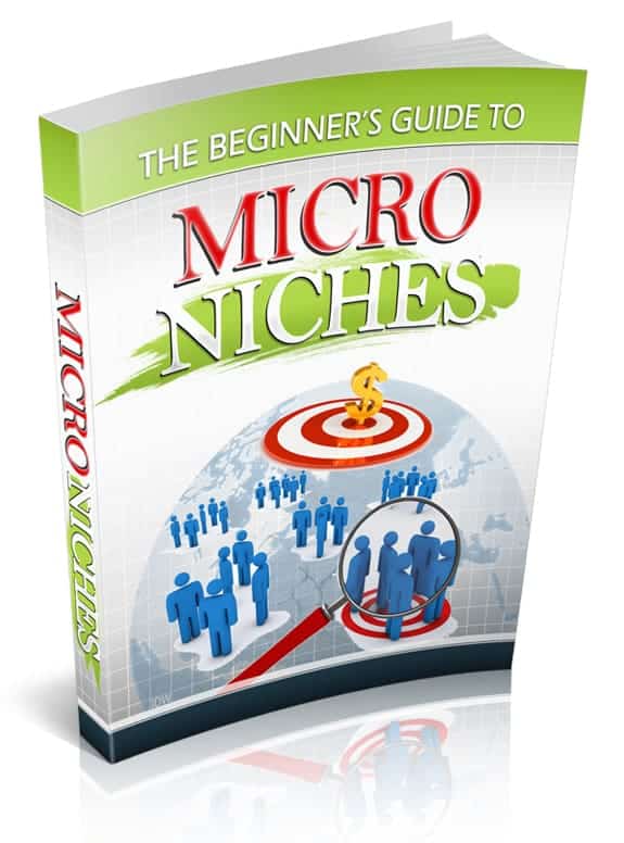 The Beginner’s Guide to Micro Niches
