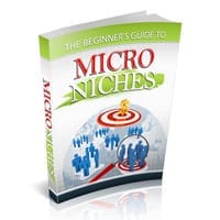 The Beginner's Guide to Micro Niches 1