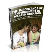The Importance Of Environment In Wealth Creation 1