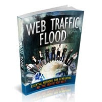 Web Traffic Flood 2