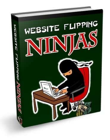 Website Flipping Ninjas