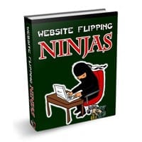 Website Flipping Ninjas 1