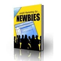 Email Marketing For NEWBIES 2