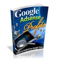 Google AdSense Profit 1
