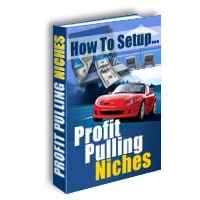 How To Setup Profit Pulling Niches
