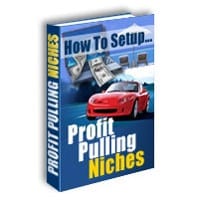 How To Setup Profit Pulling Niches 2