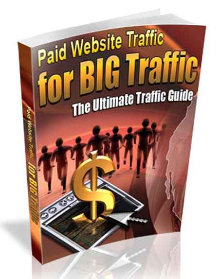 Paid Website Traffic For Big Traffic
