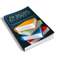 PLR Income Blueprint 1