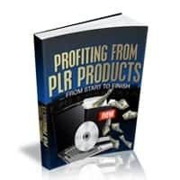 Profiting From PLR Products