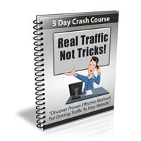 Real Traffic Not Tricks Newsletter 1