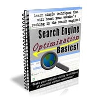 Search Engine Optimization Basics 1