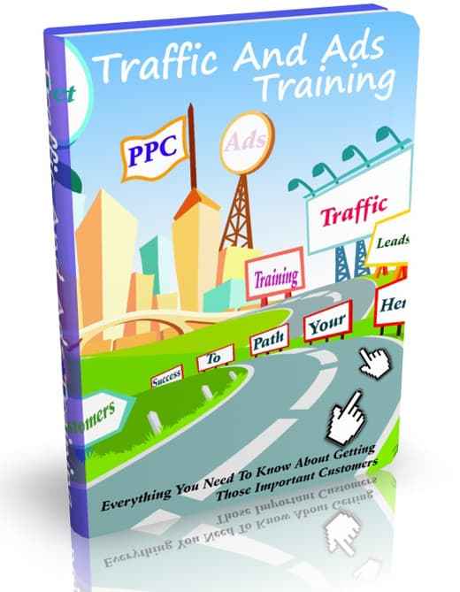 Traffic And Ads Training