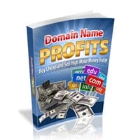 Domain Name Profits 2