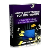 How To Build Your List For Big Profits 2