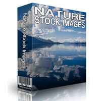 Nature Stock Photos