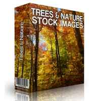 Trees and Nature Stock Images 1