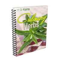Culinary Herbs