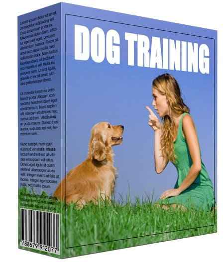 Dog Training Information Software