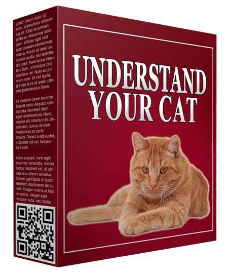 Understand Your Cat Software