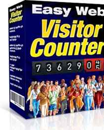 Easy Web Visitor Counter