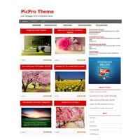 Picpro WordPress Theme