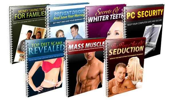 Niche Domination Series (7 Products) Wholesale Package,Niche Domination Series (7 Products) plr