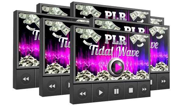 PLR Tidal Wave Wholesale Package,PLR Tidal Wave plr