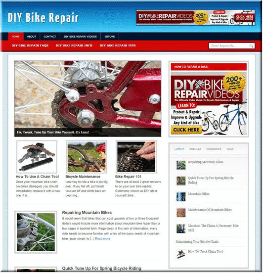 DIY Bike Repair Niche Blog