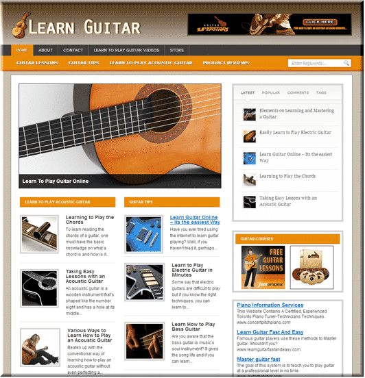 Guitar Niche PLR Blog