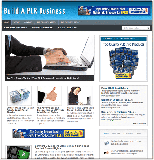 PLR Business PLR Site