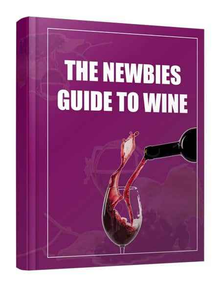 The Newbie Guide to Wine