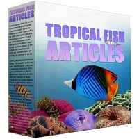Tropical Fish PLR Content
