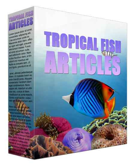 Tropical Fish PLR Content Articles,Tropical Fish PLR Content plr