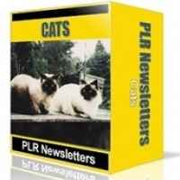 Cats Niche Newsletters