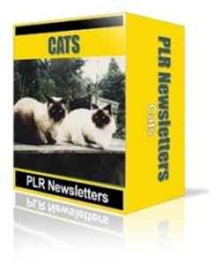 Cats Niche Newsletters Articles,Cats Niche Newsletters plr