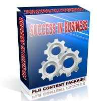 Success in Business PLR Articles