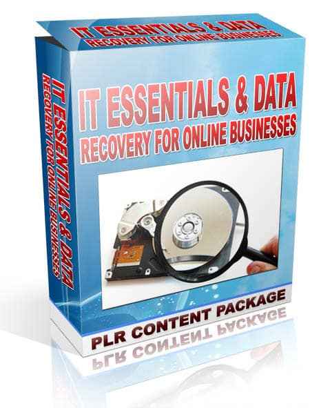 IT Essentials &amp; Data Recovery For Online Businesses Articles,IT Essentials &amp; Data Recovery For Online Businesses plr